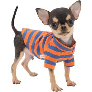 LOPHIPETS 100% Breathable Cotton Striped Dog Tee Shirt TShirt for Small Dogs Chihuahua Puppy Clothes Orange and Blue Strips/M