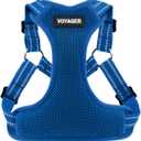 Best Pet Supplies Voyager Adjustable Step-In Flex Breathable Mesh Dog Harness for Small Medium Large Dogs (Royal Blue), S