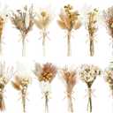 12/24 Pack Dried Flowers for Vase Various Mini Bouquet Dried Small Wildflowers Natural Real Flowers Bulk for Crafts DIY Wedding Decor (12, Plain Colour)