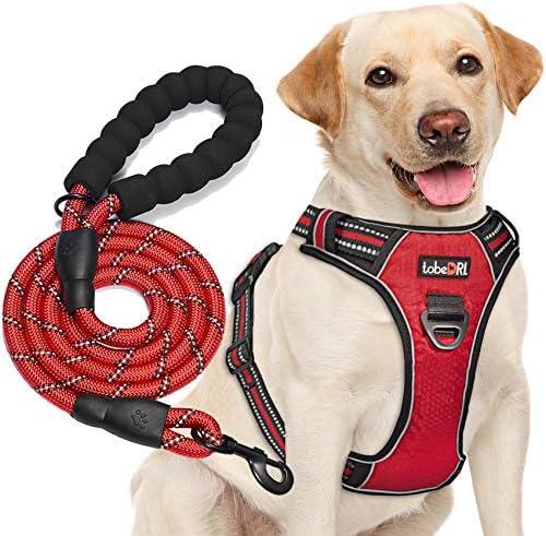 tobeDRI No Pull Dog Harness Adjustable Reflective Oxford Easy Control Large - XLarge Dog Harness with A Free Heavy Duty 5ft Dog Leash (XL (Neck: 21.5"-33", Chest: 30"-39.5"), Red Harness+Leash)