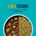 Stewart Raw Naturals Freeze Dried Raw Dog Food or Meal Topper, Chicken and Salmon Recipe, 32 Ounce Bag, Complete and Balanced Nutrition (EXP 06/18/26)