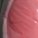 BurgeonNest Small Dog Calming Pillow for Dogs and Cats, Fluffy Soft Colorful Sleep Bolster Cozy Pet Bed Pillow, Great Present for Senior Pup Puppy Kitten, Washable, L (Pink)