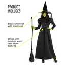 Morph Witch Costume Women, Womens Witch Costumes For Adults, Costumes For Women, Womens Halloween Costume (Medium)