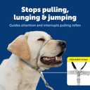 PetSafe Gentle Leader No-Pull Dog Headcollar - The Ultimate Solution to Pulling - Redirects Your Dog's Pulling for Easier Walks - Helps You Regain Control - Medium, Black
