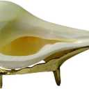IS4A Dakshinavarti Shank 3.3 to 3.5 Inch with Brass Stand