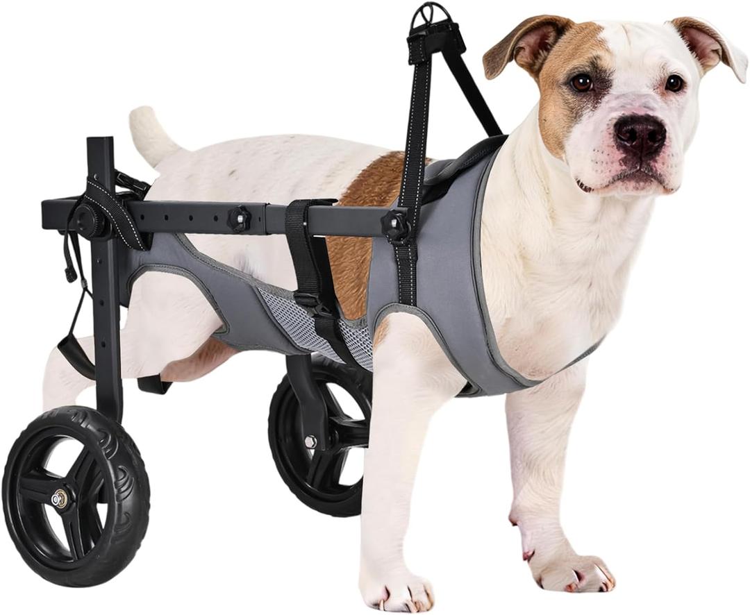 Dog Wheelchair for Back Legs, Adjustable Height/Length/Width, Sturdy Wheelchair with All-Terrain Shock-Absorbing Wheels, Mobility Support for Injured or Disabled Small & Medium Dogs & Cats (gray)