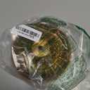 BEQUZON 6.1'' Gold Canopy for Chandelier Pendant Light, Mounting Plate Kit for Ceiling Lights, Vintage Style