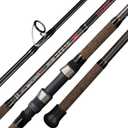 BERRYPRO Surf Rod Pure Carbon Surf Spinning Rod Graphite Surf Fishing Rod (9'-Spinning-2pc)