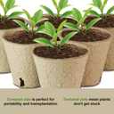 26 Pcs Peat Pots, Biodegradable Pots for Seedlings with Drain Holes, Garden Plant Nursery Pots for Plants, Vegetables,Fruits and Herb (26)
