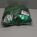 Morph Costumes Deluxe Green Ivy Costume For Women Villain Adults Halloween Costume Women Small