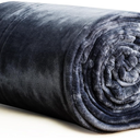 Heated Blanket Electric Blanket Throw, Buzzkick 2025 Upgraded 50x60in Dual-Spiral Heated Throw Blanket 10 Hours Auto-Off 8 Heat Levels Over-Heat Protection Soft Flannel Machine Washable for Gift(Grey)