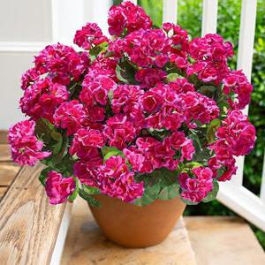Artificial Geranium Fake Flowers for Outdoors Decoration, 6 Bundles Silk Geraniums Flower UV Resistant Look Real Faux Plants for Outside Planter Front Door Garden Patio Balcony Yard Home, Fuchsia