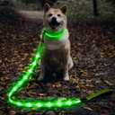 Illumifun LED Dog Leash, USB Rechargeable Glowing Light Up Dog Leash, Nylon Flashing Safety Pet Light for Night Walking (Green)