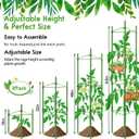 Riare 8 Pack 5.2 FT Tomato Cages for Garden- 63inches Heavy Duty Tomato Stakes and Supports, Adjustable Tall Tomato Plant Support Trellis for Pots, Raised Garden Bed, Climbing Vegetables Plants
