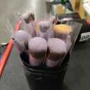 BS-MALL Makeup Brushes Premium Synthetic Foundation Powder Concealers Eye Shadows 14 Pcs Purple for Makeup Beginner or Professional with Travel Case