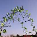1. GO Steel Garden Arch, 8'1" High x 4'2" Wide, Garden Arbor for Various Climbing Plant, 16 x 50 x 97 inches
