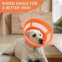 ASENKU Dog Cone Collar, Soft Adjustable Cone for Dogs to Stop Licking, Lightweight Recovery Dog Cone After Surgery, Pet E-Collar for Small, Medium & Large Dogs(Orange, M)