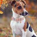 Faygarsle Bow Tie Halloween Fall Dog Collar for Small Medium Large Dogs Fashionable Cute Collars for Male Female Dog Cotton Collar with Metal Buckle Leaves Pumpkin Pattern M (Beige)
