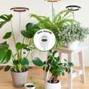 Plant Grow Light,yadoker LED Growing Light Full Spectrum for Indoor Plants, Paired with a Soil Tester,Height Adjustable, Automatic Timer, 5V Low Safe Voltage,Idea for Large Plant Light