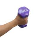 Basics Vinyl Coated Dumbbell Hand Weights, 10 Pounds, Pair, Purple