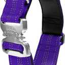 Black Rhino - Tactical Dog Collar Ultra-Soft Neoprene Padded Dog Collars for Medium, Large, XL Dogs | Heavy Duty Metal Buckle | Padded Handle for Dog Training (Large, Purple)