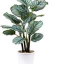 24.8" Artificial Plants Calatheas Orbifolia Goeppertia Orbifolia Plant Tropical Faux Green Plant Arrangement in Pot for Home Garden Office Decoration (Type #5)