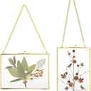 JUXYES Picture Frame, Set of 2 Brass Floater Frame, Golden Glass, 5 x 7 inches, Modern Art Design, Wall Hanging