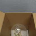 ANWIO LED ED37 Filament Brightness Bulb, 54W(300W Incandescent Equivalent) Nondimmable 5000K Daylight White with EX39 Extended Mogul Base, 8000Lm Alternative for HID/HPS/Metal Halide Bulb