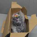 10.1" Touch Screen Car Radio for Honda Accord Radio Upgrade 2008 2009 2010 2011 2012 2013 Stereo with Wireless carplay Android Auto WiFi GPS Navigation 4G+64G, FM/RDS Radio, Bluetooth,Backup Camera