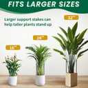 TCBWFY 14" Dx32 H Plant Supports Stakes for Large Heavy Plants,10Pack Peony Supports,Heavy Duty 5mm Wire Peony Cages,Interlock Garden Supports Ring Border Support,Plant Support Cage for Rose Flower