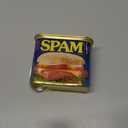 Spam Classic, 12 Ounce Can (EXP 09/30/28)