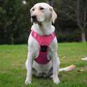 Pink Dog Harness with Airtag Holder, No-Pull Tactical Service Dogs Vest with Handle, Escape Proof Freedom Outdoor Easy Walk Jacket with Back Front Clip for Small Medium Large Breeds,M