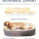 Orthopedic Dog Bed for Small Dogs Breeds, High Density Egg Crate Foam Dog Sofa Beds,Oval Kennel Bed, Pet Couch Bed with Four Sided Bolster, Removable Washable Cover& Non-Slip Bottom, 17" x 23"