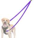 PetBonus Two Point Control Dog Leash, Works with No Pull Harnesses, No Tangle Dog Training Leashes, No Pull Padded and Reflective Walking Lead, Converts to Single Leash for Medium Large Dogs (Purple)
