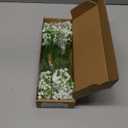 24Pcs Babys Breath Artificial Flowers Bulk, 11inch Fake Baby Breath Flowers White Faux Gypsophila Real Touch Flowers for Outdoors Wedding DIY Bouquet Arrangement Party Home Table Decor