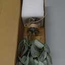 Artificial Eucalyptus Stems in Glass Vase with Faux Water,3Pcs Fake Plant with Double-Sided Green Leaves for Centerpiece(Double-Sided Green Eucalyptus)