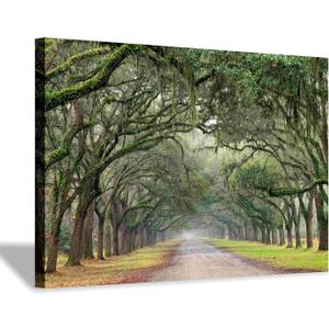 Hardy Gallery Green Forest Landscape Wall Art: Nature Canvas Oak Tree Lined Road of Savannah Artwork Picture Large Painting for Home Wall Decor (45'' x 30'' x 1 Panel)