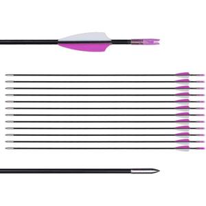 LWANO 31" Training Arrows-Archery Practice Target Arrows for Kids Youth or Beginners with Durable Shaft on Recurve Bow Compound Bow and Longbow (Purple)