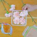 DRYFLO15, 1.5-Pounds / 0.68 KG of Silica Gel Preserving Wedding, 1-Pack