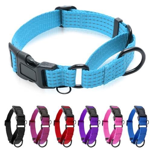 JOOCPUP Martingale Collar for Dogs, Reflective Heavy Duty with Quick Release Nylon Buckle, No Pull Training Choker for Walking, Training, Sky Blue,M