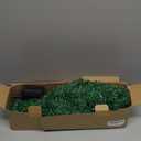 Solar Christmas Tree 4 Pack Garden Stake Light Waterproof Outdoor Christmas Decorations,2 Modes Solar Xmas Christmas Lights for Yard Front Porch Pathway Grave Garden Decor