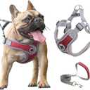 Medium Dog Harness and Leash Set,No Pull Adjustable Step in Soft Mesh Vest Harness,Easy Walk Reflective Pet Harness with Padded Handle for Walking Training Small Medium Large Dogs and Cats (Red, M)