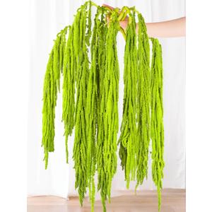 7Pcs Green Dried Amaranthus Hanging Flowers - 100% Natural Dye Neon Green 23" Real Amaranthus , Preserved Dried Flowers for Wedding Arch Decor, Exhibition, Floral Arrangement