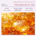 EUQEE Amber Fragrance Oil for Candle Making 100ml/3.38 Fl Oz | Essential Oil for Home, Long Lasting Aromatherapy Oil for Diffuser, Soap Making, Laundry, Home Fragrance Gift
