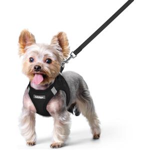 rabbitgoo Dog Harness Small Sized and Leash Set, Step in Soft Light Puppy Vest, Breathable Mesh Pet Harness, Reflective for Safe Easy Walking, Black XS (Xs (chest: 13.3 - 15.5"))