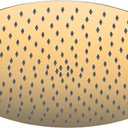 Gold Rain Shower Head, 16 Inch High Pressure Shower Head, 304 Stainless Steel Ceiling Mount Extra Large Waterfall Top Showerhead, Brushed Brass Gold (16-Inches)