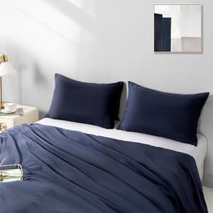 Pillow Covers Blue 2 Pack 20x26