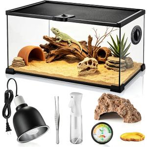 10 Gallon Reptile Terrarium Glass Starter Habitat 20" x 12" x 10" for Gecko Snake