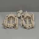 2-Pack 36-Inch Skeleton Halloween Decoration, 3ft Posable Halloween Skeleton Decor with Movable Joints for Lawn, Haunted House, Graveyard, Trunk or Treat, Lifelike Skeleton Model