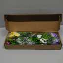 Pansies Artificial Flowers for Outdoors UV Resistant 8 Bundles Silk Pansy Plastic Fake Plants Flowers for Home Outside Garden Window Box Patio Planter Porch Decor (Mixed Color)